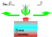 Исследование пульса как созвучия мысли человека и голоса вселенной