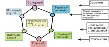 Законы фрактальных соотношений артикуляционных жестов и акустических свойств элементарных звуков речи