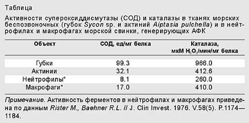 Незримое одеяние голых тварей