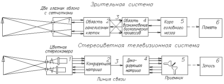 Стереотелевидение