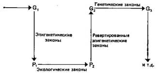 Принципы эволюции