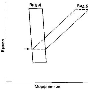 Принципы эволюции