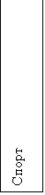Подпись: Спорт
