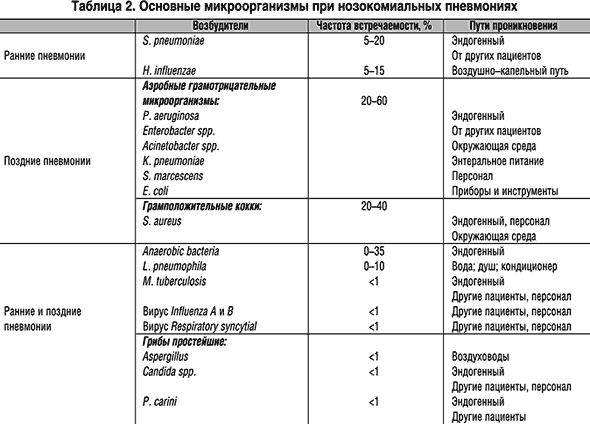 Грамотрицательные пневмонии