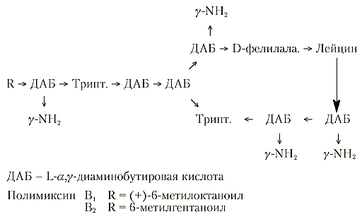 Полимиксины – новый взгляд на известные антибиотики