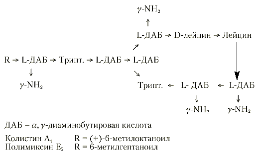 Полимиксины – новый взгляд на известные антибиотики