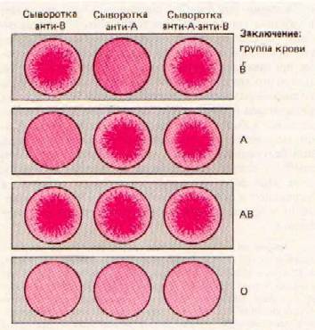 Физиология крови