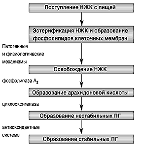 Простагландины в офтальмологии