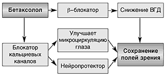 Бетаксолол в лечении глаукомы