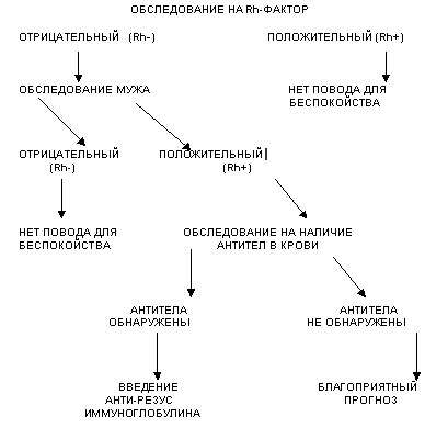 Что такое резус-фактор?