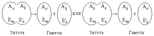 Клетка