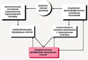 Происхождение возбудителей природноочаговых болезней