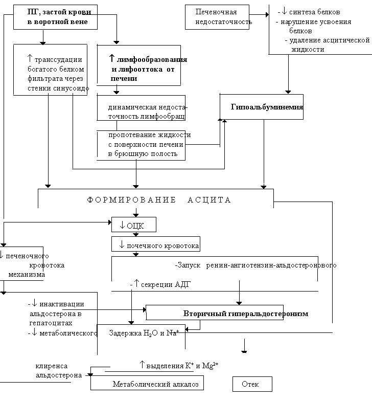 Портальная гипертония и отчетно асцитический синдром
