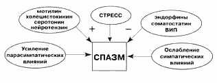 Спазмолитики в гастроэнтерологии: сравнительная характеристика и показания к применению