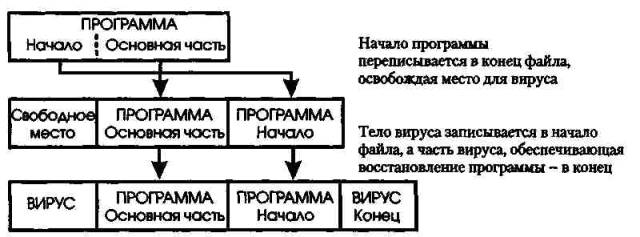 СОМ-вирусы