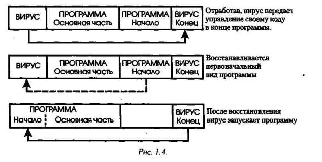 СОМ-вирусы