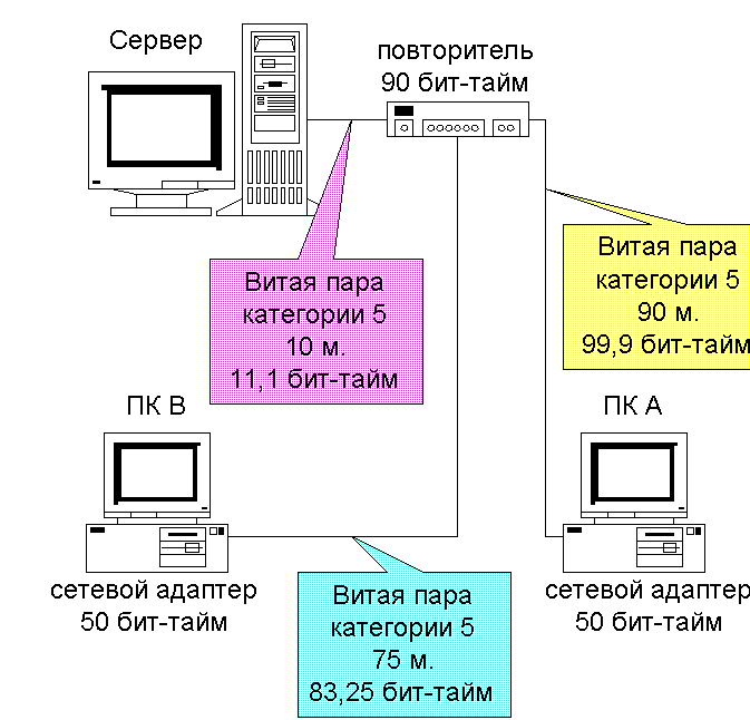 Структура и функционирование ЛВС