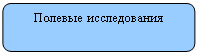 Скругленный прямоугольник: Полевые исследования