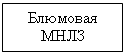 Подпись: Блюмовая МНЛЗ