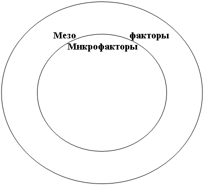 Кольцо:         Мезо                       факторы
              Микрофакторы                       
