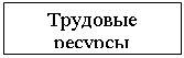 Подпись: Трудовые ресурсы