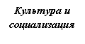 Подпись: Культура и социализация