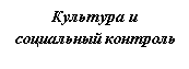 Подпись: Культура и
социальный контроль
