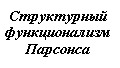 Подпись: Структурный
функционализм
Парсонса
