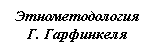 Подпись: Этнометодология Г. Гарфинкеля