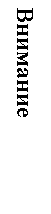 Подпись: Внимание