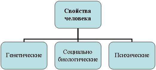 Организационная диаграмма